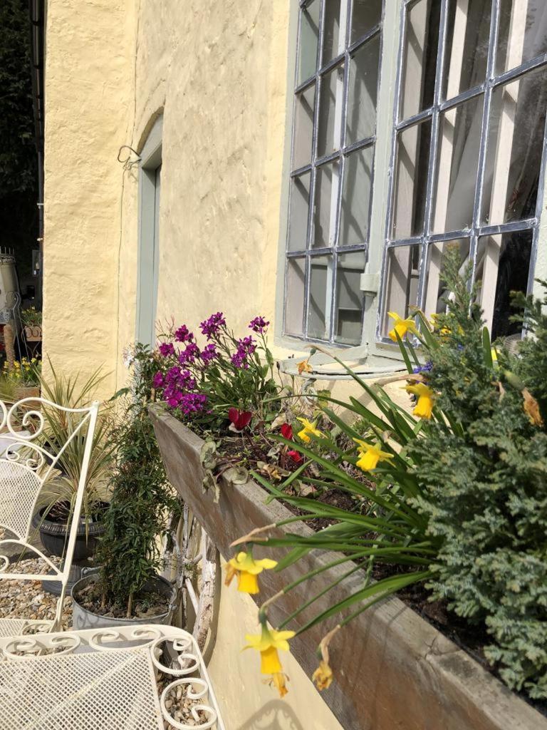Old Mutlow Cottage Longhope Exterior foto